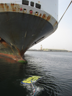 SR&M Interim 2 HullWiper